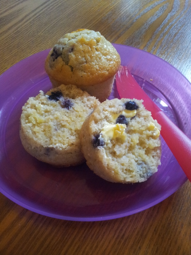 Blueberry, banana and oatmeal muffins